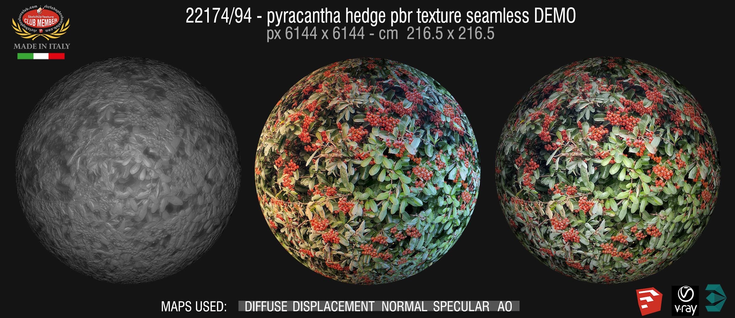 22174/94 pyracantha hedge PBR texture-seamless demo