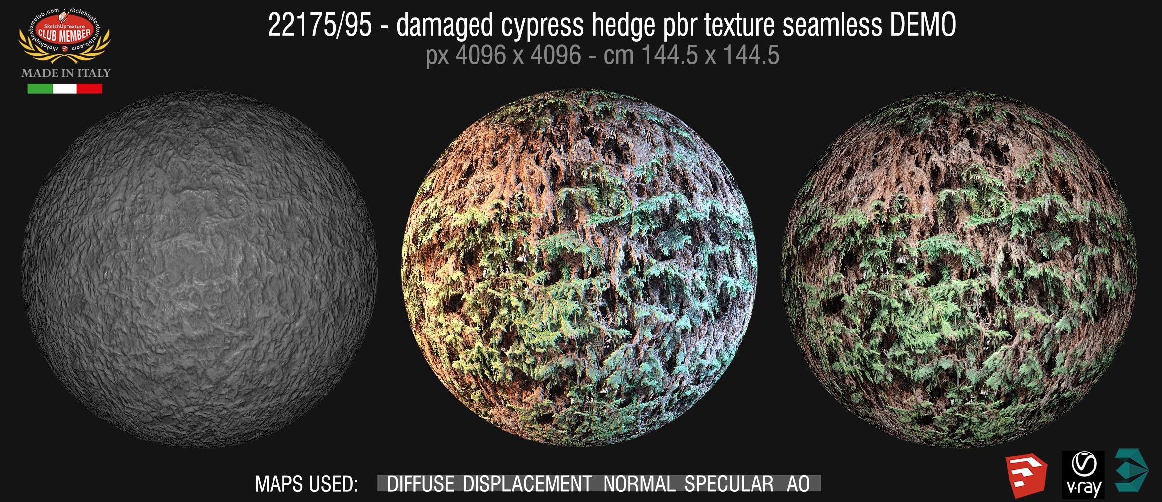 22175/95 damaged cypress hedge PBR texture seamless demo