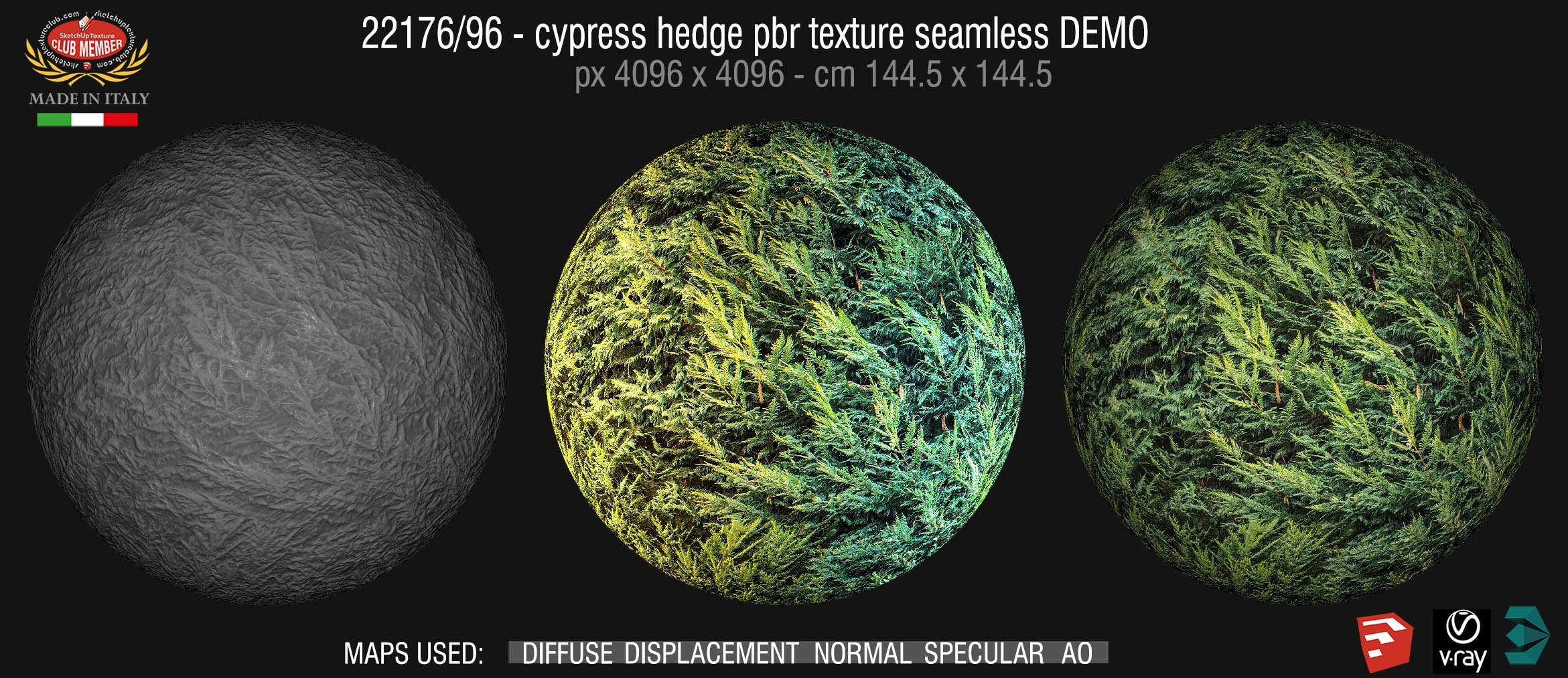 22176/96 Cypress hedge PBR texture seamless DEMO