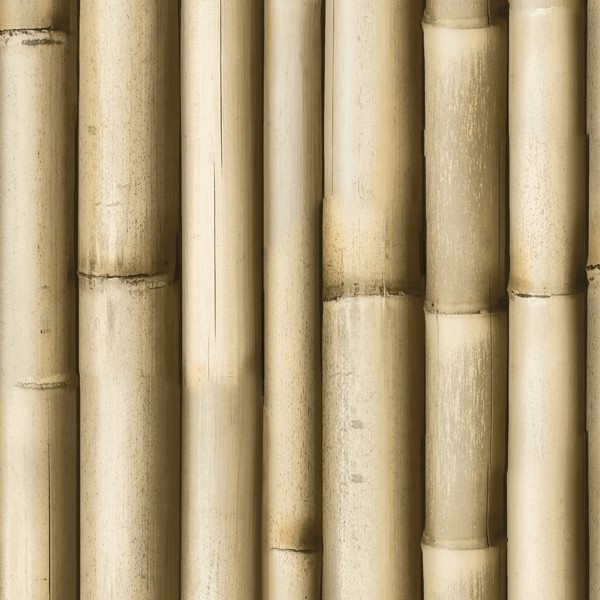 Textures   -   NATURE ELEMENTS   -   BAMBOO  - Bamboo texture seamless 12266 - HR Full resolution preview demo