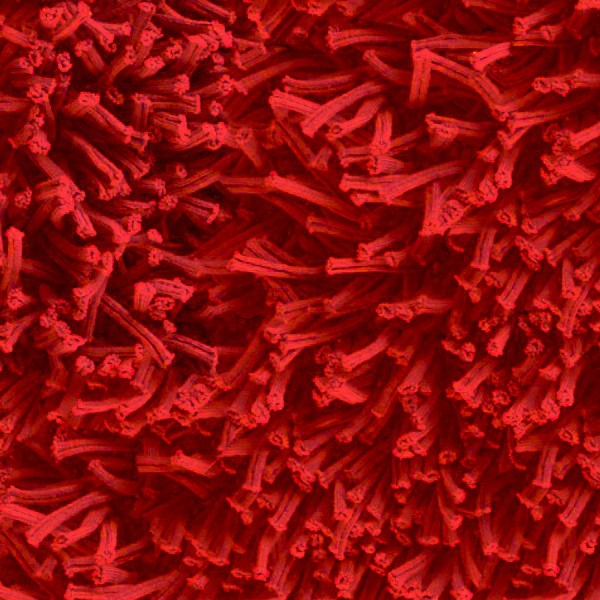 Textures   -   MATERIALS   -   CARPETING   -   Red Tones  - Red carpeting texture seamless 16726 - HR Full resolution preview demo