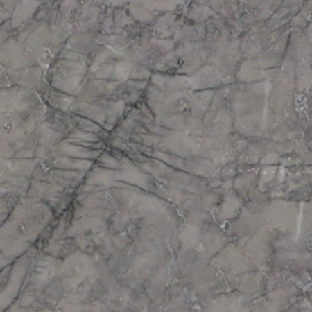 Textures   -   ARCHITECTURE   -   MARBLE SLABS   -   Grey  - Slab marble grey carnico texture seamless 02302 - HR Full resolution preview demo