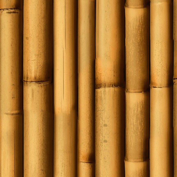 Textures   -   NATURE ELEMENTS   -   BAMBOO  - Bamboo texture seamless 12267 - HR Full resolution preview demo
