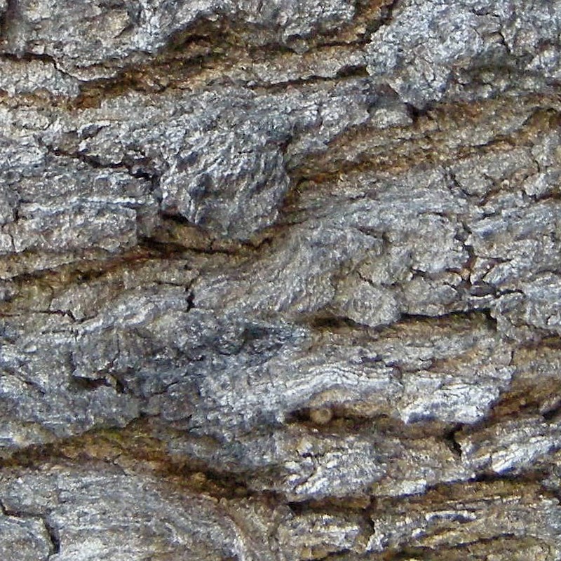 Textures   -   NATURE ELEMENTS   -   BARK  - Bark texture seamless 12308 - HR Full resolution preview demo