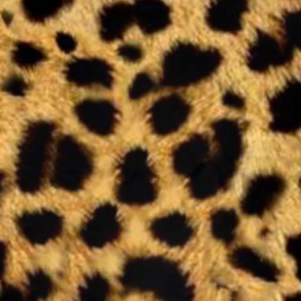 Seamless Black Green Leopard Print Pelt Pattern PNG Seamless