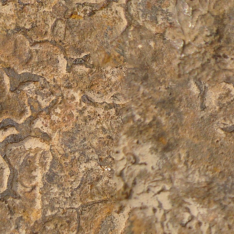 Textures   -   NATURE ELEMENTS   -   ROCKS  - Rock stone texture seamless 12621 - HR Full resolution preview demo