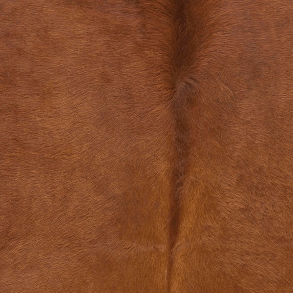 Cow Leather Rug Texture 20011