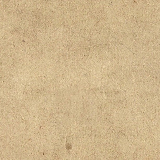 Textures   -   MATERIALS   -   CARDBOARD  - Cardboard texture seamless 09505 - HR Full resolution preview demo