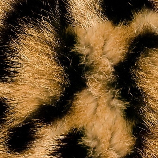 Textures   -   MATERIALS   -   FUR ANIMAL  - Leopard faux fake fur animal texture seamless 09555 - HR Full resolution preview demo