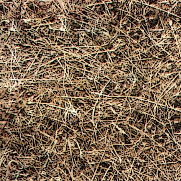 Textures   -   NATURE ELEMENTS   -   VEGETATION   -   Dry grass  - Dry grass texture seamless 12919 - HR Full resolution preview demo