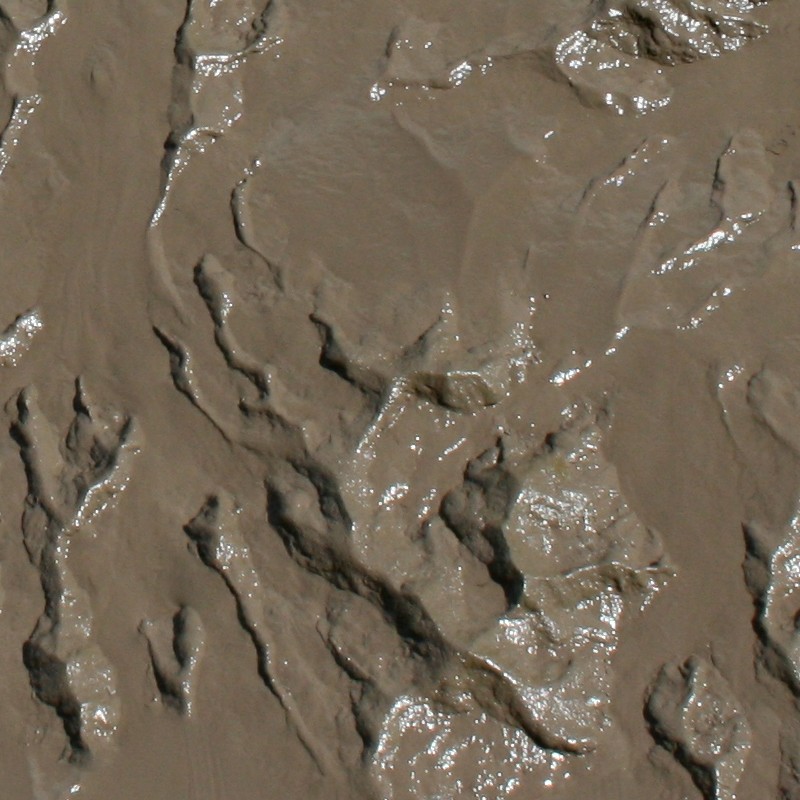 Textures   -   NATURE ELEMENTS   -   SOIL   -   Mud  - Mud texture seamless 12879 - HR Full resolution preview demo