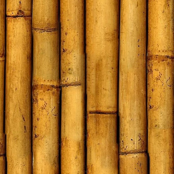 Textures   -   NATURE ELEMENTS   -   BAMBOO  - Bamboo texture seamless 12274 - HR Full resolution preview demo