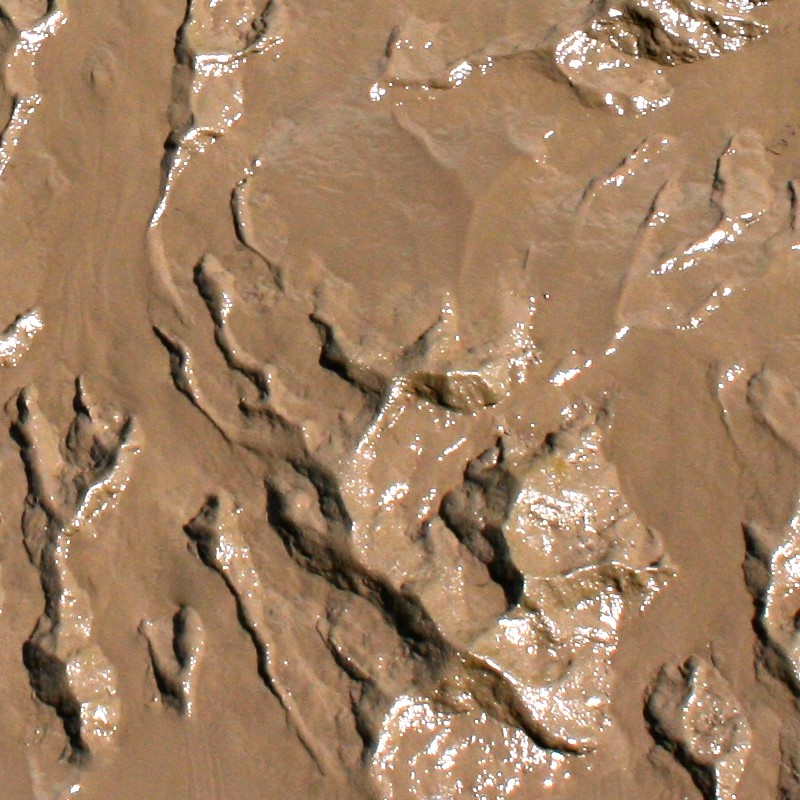 Textures   -   NATURE ELEMENTS   -   SOIL   -   Mud  - Mud texture seamless 12880 - HR Full resolution preview demo