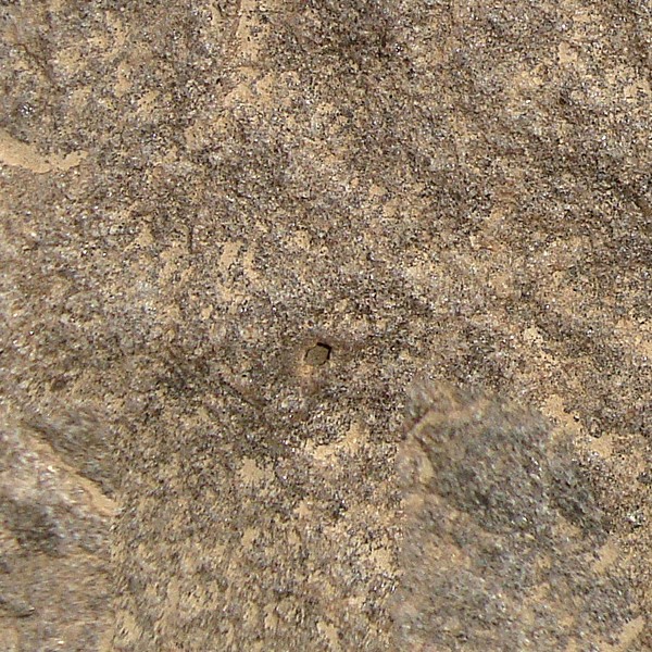 Textures   -   NATURE ELEMENTS   -   ROCKS  - Rock stone texture seamless 12628 - HR Full resolution preview demo