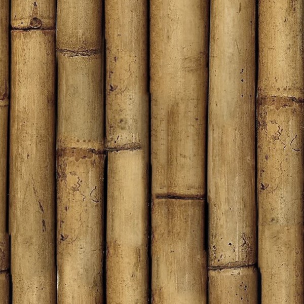 Textures   -   NATURE ELEMENTS   -   BAMBOO  - Bamboo texture seamless 12275 - HR Full resolution preview demo