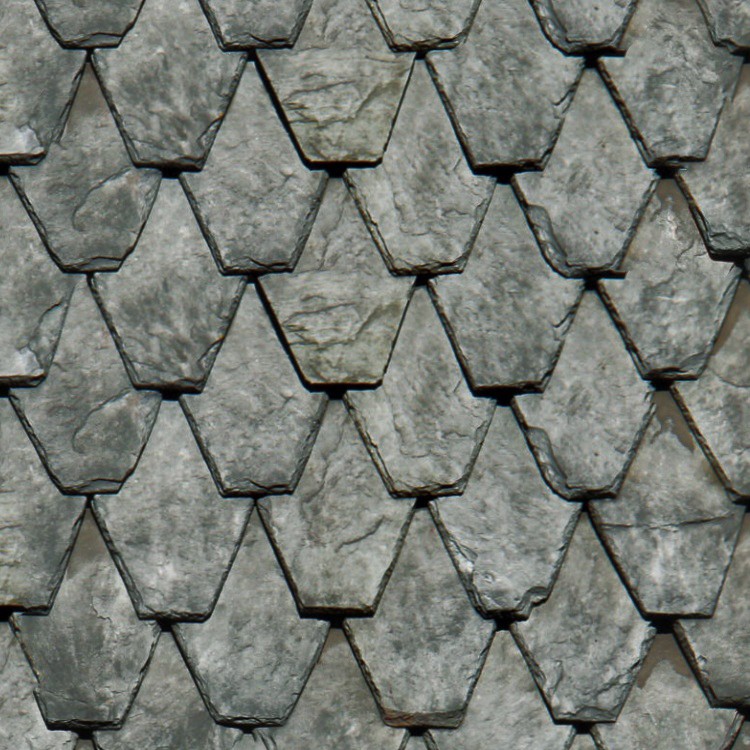 Textures   -   ARCHITECTURE   -   ROOFINGS   -   Slate roofs  - Dirty slate roofing texture seamless 03904 - HR Full resolution preview demo