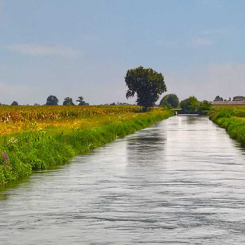 Textures   -   BACKGROUNDS &amp; LANDSCAPES   -   NATURE   -   Rivers &amp; streams  - Irrigation canal background 20806 - HR Full resolution preview demo