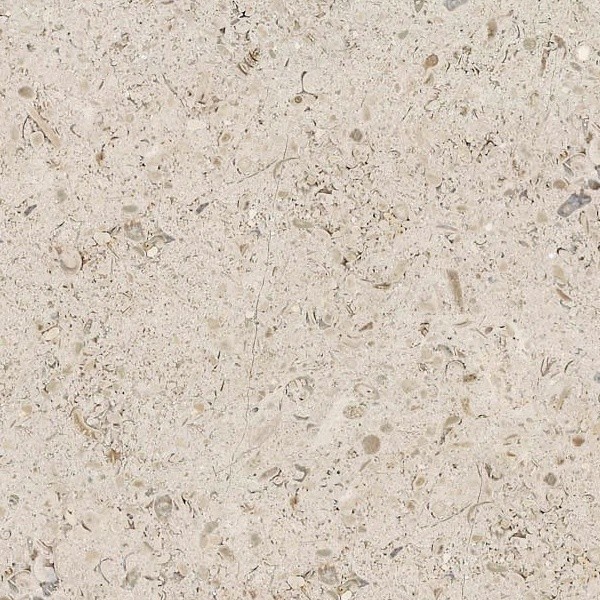 Limestone wall surface texture seamless 08594