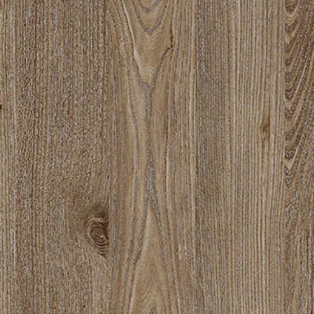 Textures   -   ARCHITECTURE   -   WOOD   -   Raw wood  - Raw wood surface texture seamless 19785 - HR Full resolution preview demo