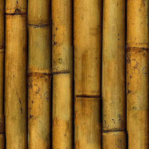 Textures   -   NATURE ELEMENTS   -   BAMBOO  - Bamboo texture seamless 12276 - HR Full resolution preview demo