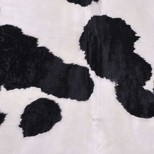Textures   -   MATERIALS   -   RUGS   -   Cowhides rugs  - Cow leather rug texture 20019 - HR Full resolution preview demo