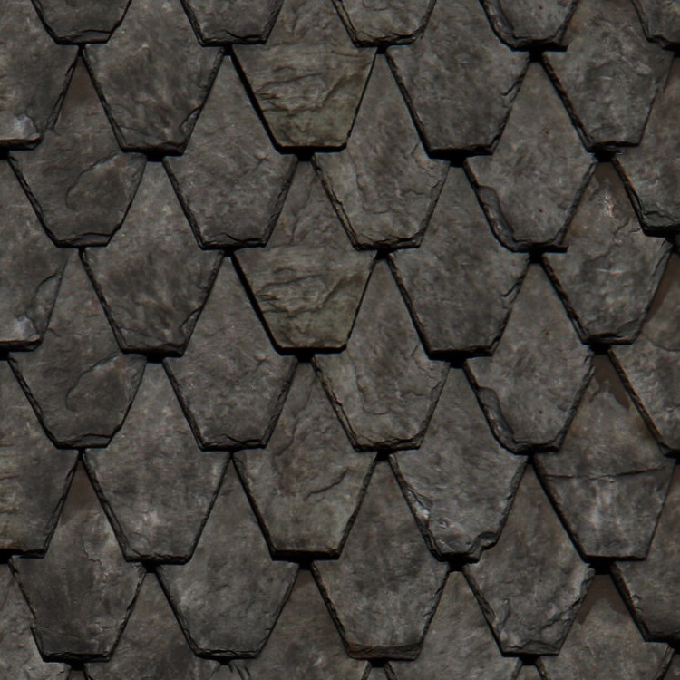 Textures   -   ARCHITECTURE   -   ROOFINGS   -   Slate roofs  - Dirty slate roofing texture seamless 03905 - HR Full resolution preview demo