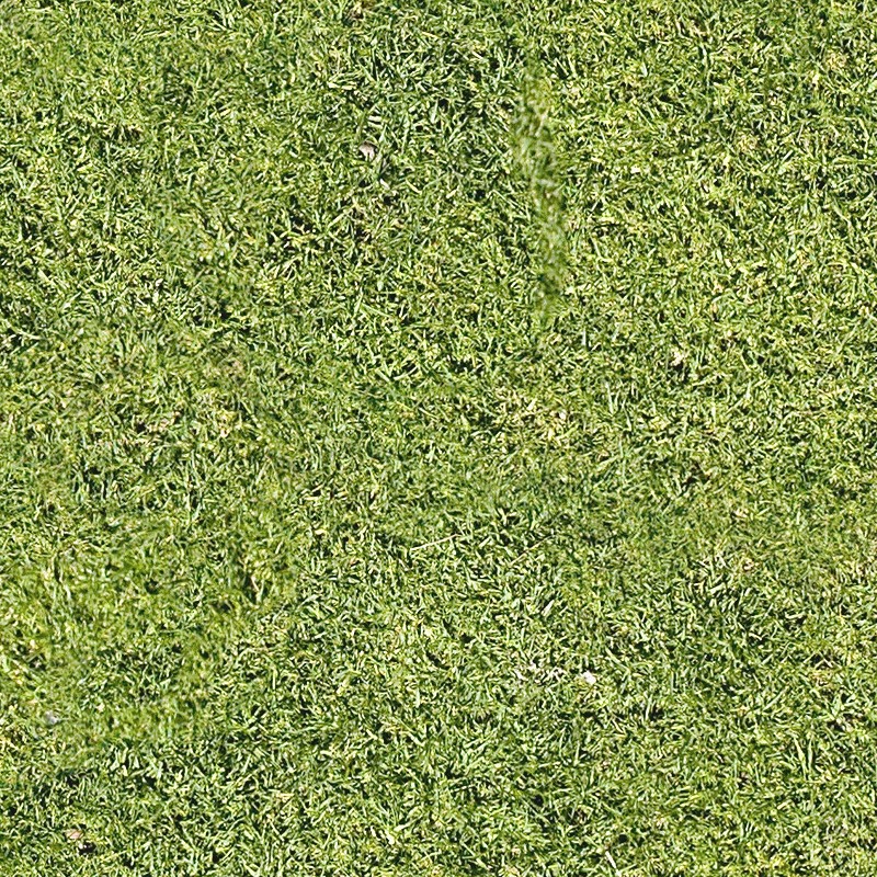 Textures   -   NATURE ELEMENTS   -   VEGETATION   -   Green grass  - Green grass texture seamless 12977 - HR Full resolution preview demo