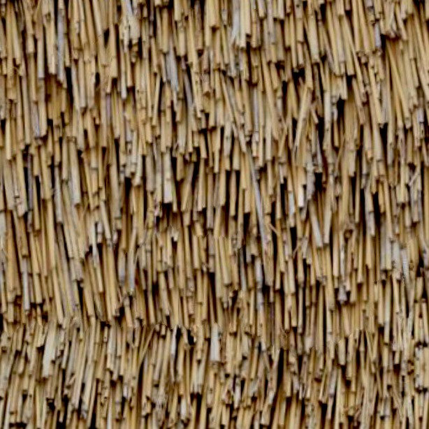 Textures   -   ARCHITECTURE   -   ROOFINGS   -   Thatched roofs  - Thatched roof texture seamless 04047 - HR Full resolution preview demo