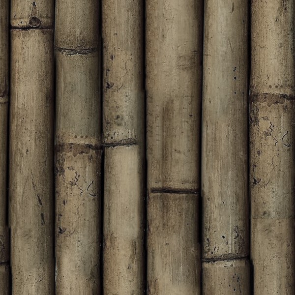 Textures   -   NATURE ELEMENTS   -   BAMBOO  - Bamboo texture seamless 12277 - HR Full resolution preview demo