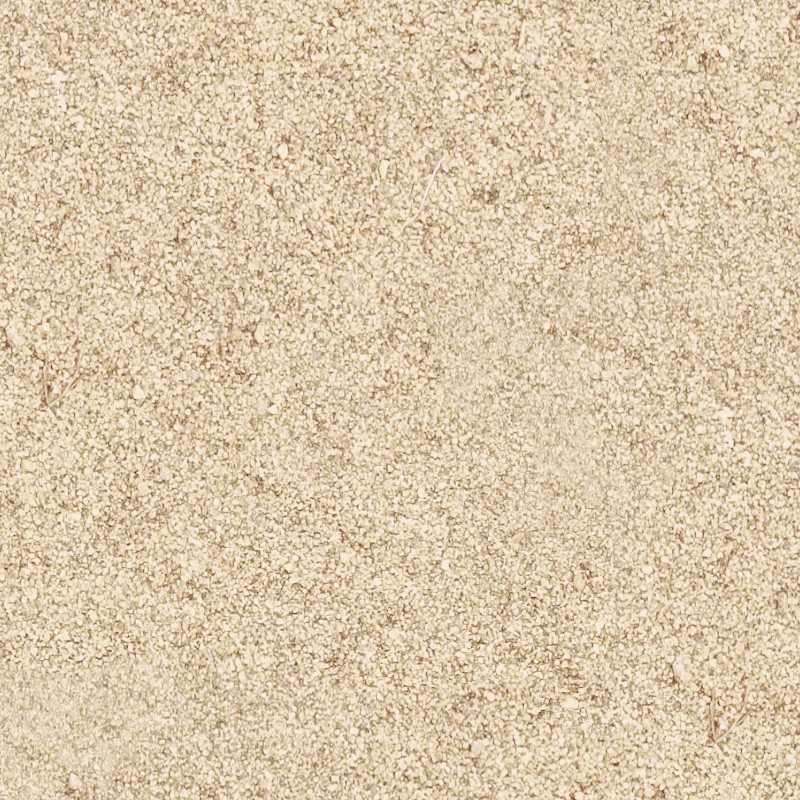 Textures   -   NATURE ELEMENTS   -   SAND  - Beach sand texture seamless 12710 - HR Full resolution preview demo