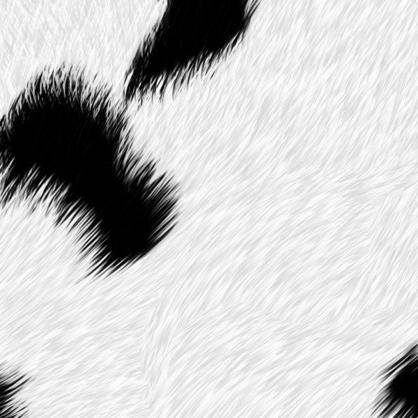 Textures   -   MATERIALS   -   FUR ANIMAL  - Dalmatian dog animal fur texture seamless 09562 - HR Full resolution preview demo