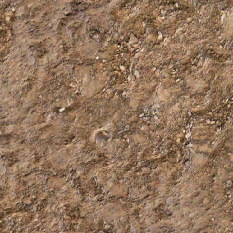 Textures   -   NATURE ELEMENTS   -   SOIL   -   Mud  - Mud texture seamless 12883 - HR Full resolution preview demo