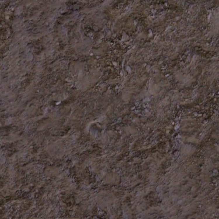 Textures   -   NATURE ELEMENTS   -   SOIL   -   Mud  - Mud texture seamless 12884 - HR Full resolution preview demo