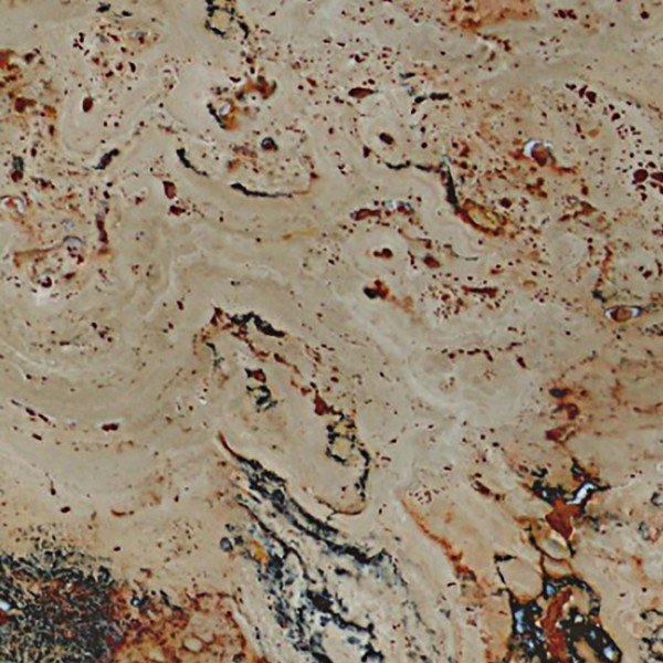 Textures   -   ARCHITECTURE   -   MARBLE SLABS   -   Brown  - Slab marble travertine skabas texture seamless 01980 - HR Full resolution preview demo