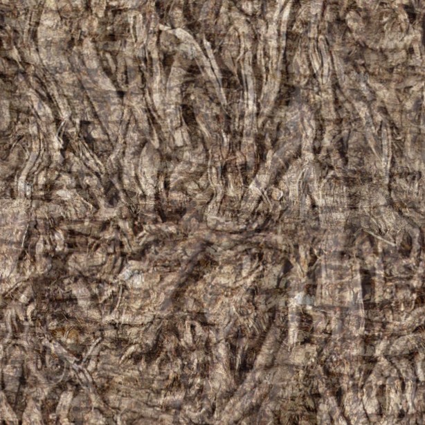 Textures   -   NATURE ELEMENTS   -   BARK  - Bark texture seamless 12320 - HR Full resolution preview demo