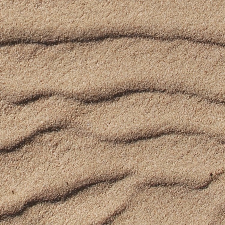 Textures   -   NATURE ELEMENTS   -   SAND  - Beach sand texture seamless 12712 - HR Full resolution preview demo