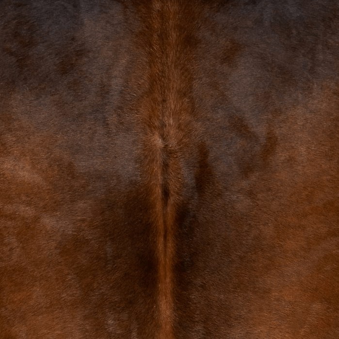 Textures   -   MATERIALS   -   RUGS   -   Cowhides rugs  - Cow leather rug texture 20021 - HR Full resolution preview demo