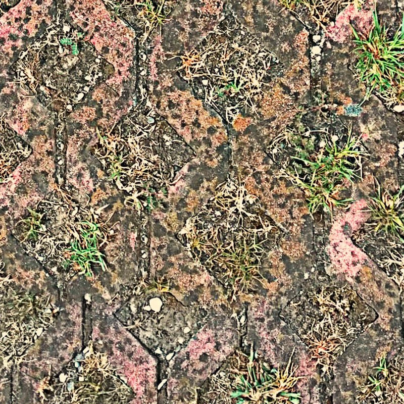Textures   -   ARCHITECTURE   -   PAVING OUTDOOR   -   Parks Paving  - Damaged bricks park paving texture seamless 18672 - HR Full resolution preview demo