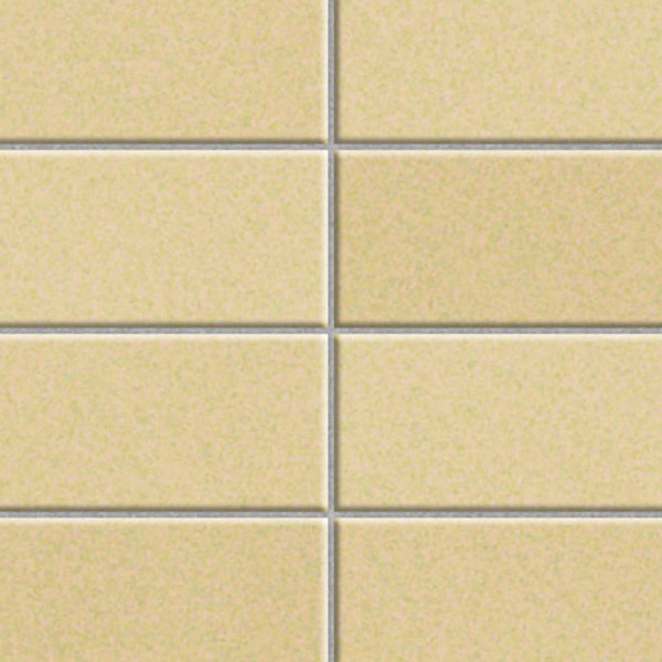 Textures   -   ARCHITECTURE   -   TILES INTERIOR   -   Mosaico   -   Classic format   -   Plain color   -   Mosaico cm 5x10  - Mosaico classic tiles cm 5x10 texture seamless 15428 - HR Full resolution preview demo