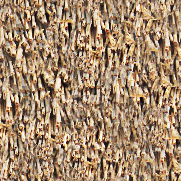 Textures   -   ARCHITECTURE   -   ROOFINGS   -   Thatched roofs  - Thatched roof texture seamless 04050 - HR Full resolution preview demo