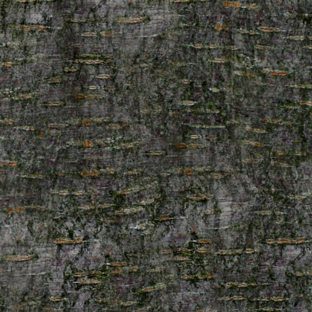 Textures   -   NATURE ELEMENTS   -   BARK  - Bark texture seamless 12321 - HR Full resolution preview demo