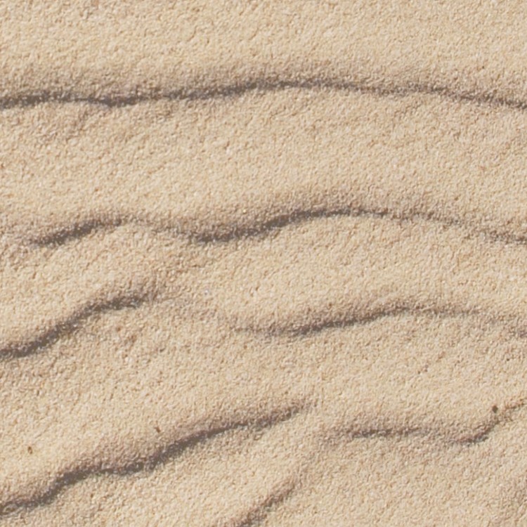 Textures   -   NATURE ELEMENTS   -   SAND  - Beach sand texture seamless 12713 - HR Full resolution preview demo