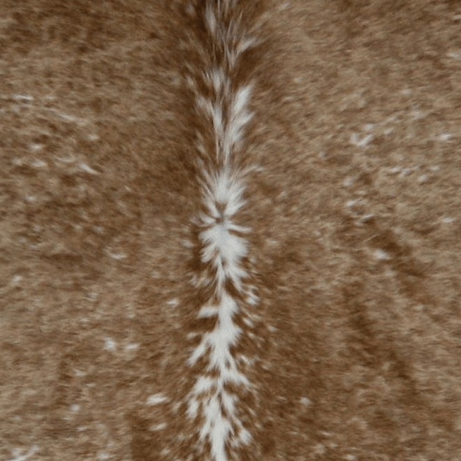 Textures   -   MATERIALS   -   RUGS   -   Cowhides rugs  - Cow leather rug texture 20022 - HR Full resolution preview demo
