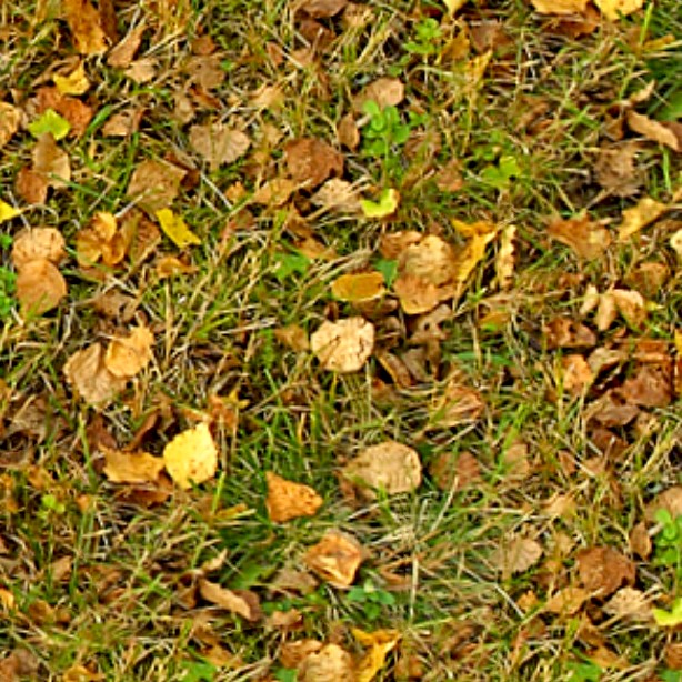 Textures   -   NATURE ELEMENTS   -   VEGETATION   -   Leaves dead  - Leaves dead texture seamless 13130 - HR Full resolution preview demo