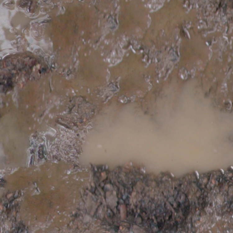 Textures   -   NATURE ELEMENTS   -   SOIL   -   Mud  - Mud texture seamless 12886 - HR Full resolution preview demo