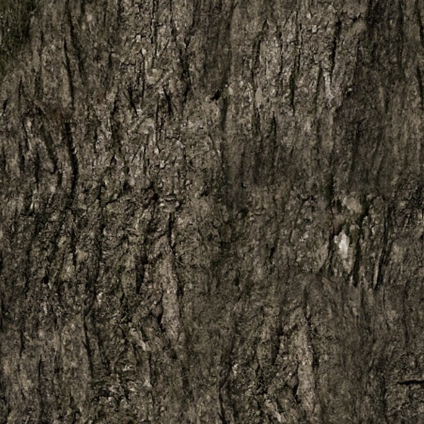 Textures   -   NATURE ELEMENTS   -   BARK  - Bark texture seamless 12322 - HR Full resolution preview demo