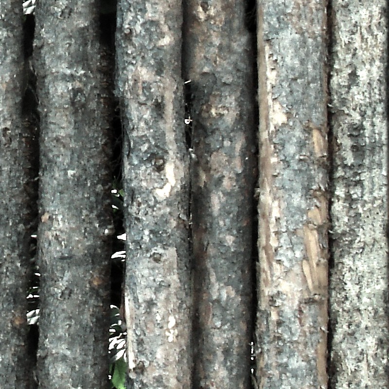 Textures   -   ARCHITECTURE   -   WOOD PLANKS   -   Wood fence  - Fence trunks wood texture seamless 09395 - HR Full resolution preview demo