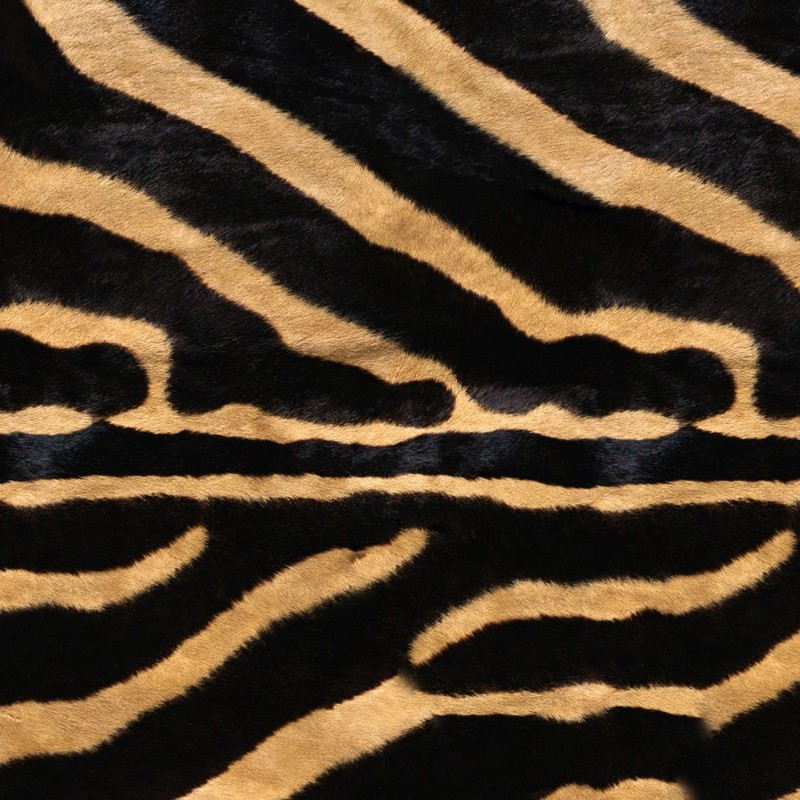 Textures   -   MATERIALS   -   FUR ANIMAL  - Zebra faux fake fur animal texture seamless 09566 - HR Full resolution preview demo