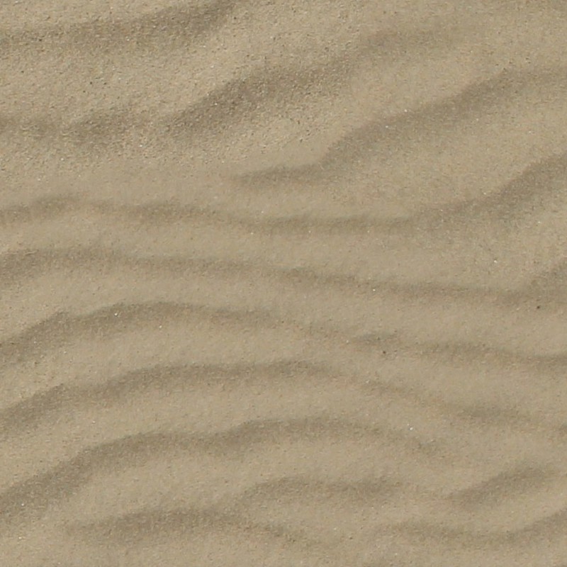 Textures   -   NATURE ELEMENTS   -   SAND  - Beach sand texture seamless 12715 - HR Full resolution preview demo