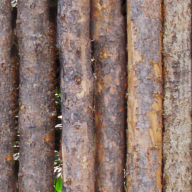 Textures   -   ARCHITECTURE   -   WOOD PLANKS   -   Wood fence  - Fence trunks wood texture seamless 09396 - HR Full resolution preview demo